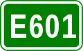 E601 shield