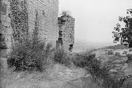 The ruins of the château of Taillefer, in Gintrac