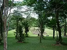 A large grassy mound seen through widely spaced trees scattered across a flat grassy foreground. A stone stairway climbs the mound and several stone monuments stand in front of this stairway. More trees form the backdrop to the mound.