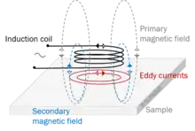 Visualization of Eddy Currens Induction