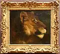 Tête de lionne (Théodore Géricault)