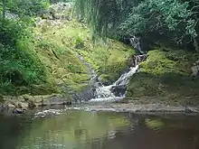 River cascading into small lake