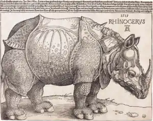 Albrecht Dürer's 1515 The Rhinoceros