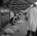 The Royal Welsh Show 1963, Llanelwedd