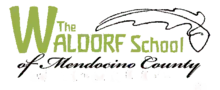 School wordmark graphic with the words 'The Waldorf School' in lime green sans-serif block letters and 'of Mendocino County' in black script, with a simple black line drawing of a generic deciduous tree leaf