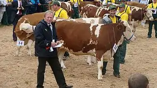 National Exposition of the Simmental Cattle and the Regional Championship of Hucul Horse.