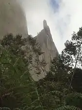 The lizard Rock attached to the Blue Rock