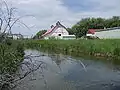 Thompson Spring Creek on the MZ Ranch near Belgrade, MT