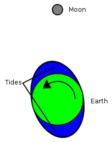 A small gray circle at the top represents the Moon. A green circle centered in a blue ellipse represents the Earth and its oceans. A curved arrow shows the counterclockwise direction of the Earth's rotation, resulting in the long axis of the ellipse being slightly out of alignment with the Moon.