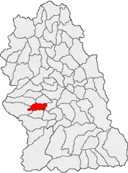 Location in Hunedoara County