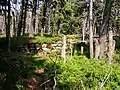 Ruins of the peat huts