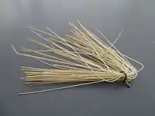 Tuft of stiff fibers removed from a brush