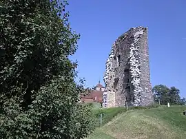 Ruins of the chateau