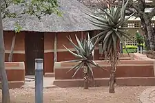 Traditional_House_at_the_national_museum_Botswana