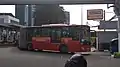 TransJakarta HFF6180G02D bendy bus.