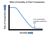 The effect of humidity on the transpiration rate of plants.