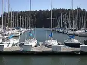 Treasure Island Marina on the island's south shore