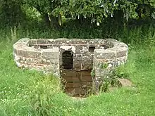 The Virtuous Well, Trellech