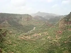 Gorge of Tsaliet River, near Dabba Selama monastery.