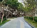 Jogging track at the promenade