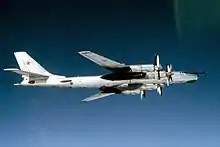 Tupolev Tu-95 strategic bombers