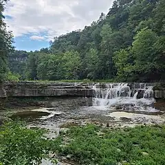 Tully Formation at Taughannock Falls State Park,  location of the Taghanic event rocks