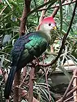 At Zoo Leipzig, Germany.