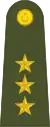 YüzbaşıTurkish Army