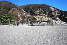 Protected turtle eggs incubating in La Ventanilla