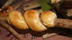 Twist bread made during a Scouts Camp