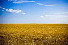 Steppe in Kherson, Ukraine