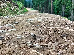 Typical summer condition of the road on Rollins Pass. This photograph was taken facing southwest on the road near the Riflesight Notch trestle on the west side of Rollins Pass.