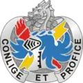 202nd Military Intelligence Battalion"Conlige et Profice"(Collect and Exploit)