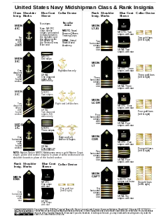 U.S. Navy Midshipman all carry the same military rank but are divided internally into 10 ranks: Midshipman 4th class, abbreviated MIDN 4/C, midshipman 3rd class, abbreviated MIDN 3/C, midshipman 2nd class, abbreviated MIDN 2/C, midshipman 1st class, abbreviated MIDN 1/C, midshipman ensign, abbreviated MIDN ENS, midshipman lieutenant junior grade, abbreviated MIDN LTJG, midshipman lieutenant, abbreviated MIDN LT, midshipman lieutenant commander, abbreviated MIDN LCDR, midshipman commander, abbreviated MIDN CDR, and midshipman captain, abbreviated MIDN CAPT. Each rank has a specific insignia on the shoulder, sleeve and collar to distinguish the rank.