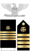 The eagle, shoulder boards, and sleeve stripes (dress blues + female dress whites) of a USPHS captain