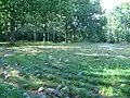 Stone and turf labyrinths (Bohuslän, Sweden)