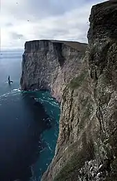 Colony of thick-billed murre at bird cliff of Stappen, Bear Island.