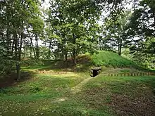 Ushirofutago Kofun and Shō Kofun