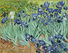 Irises1889J. Paul Getty Museum, Los Angeles, California (F608)