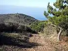 View of Mount Licosa trail to the coastal tower Semaforo