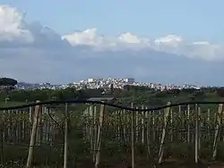 Panorama of Velletri