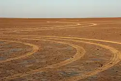 Vehicle tracks on Verneukpan.