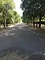 A five hundred meter avenue lined with trees leads to the front door of the Villa.