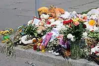 Memorial for Liza Dmitrieva