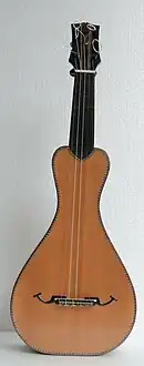 Viola de cocho