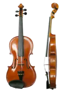 Violin