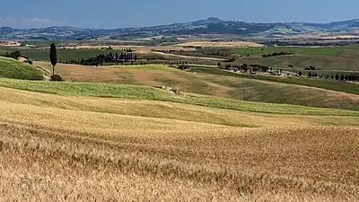 Countryside around Pienza