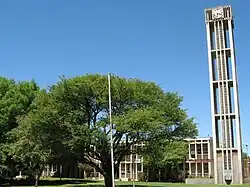 Vryburg town hall