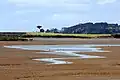 The Waiuku River at low tide in 2000