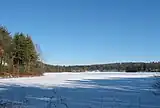 The pond in winter